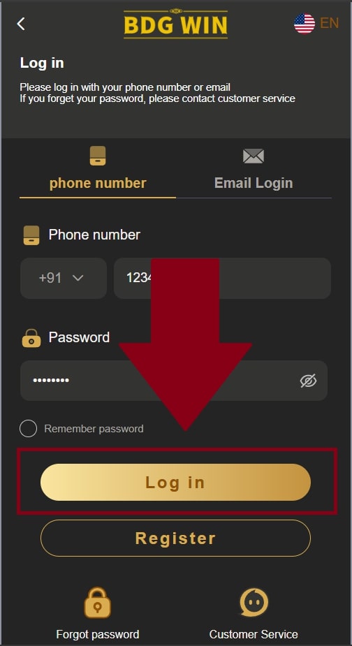 Click the Login button
